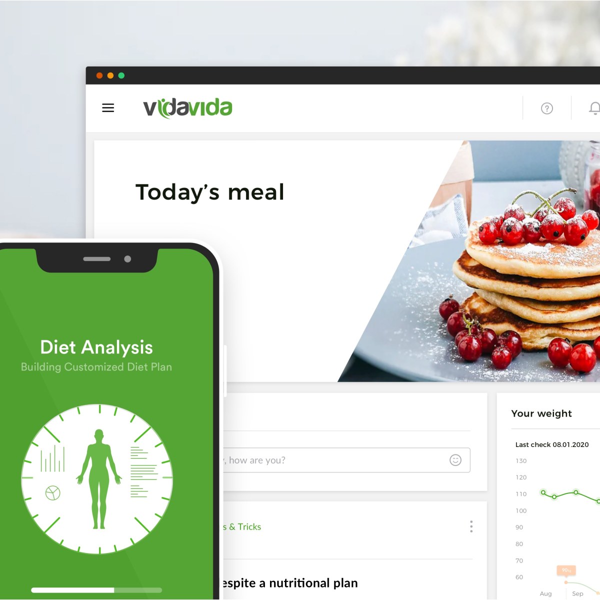 VidaVida — nutrition and diet tracking platform product design